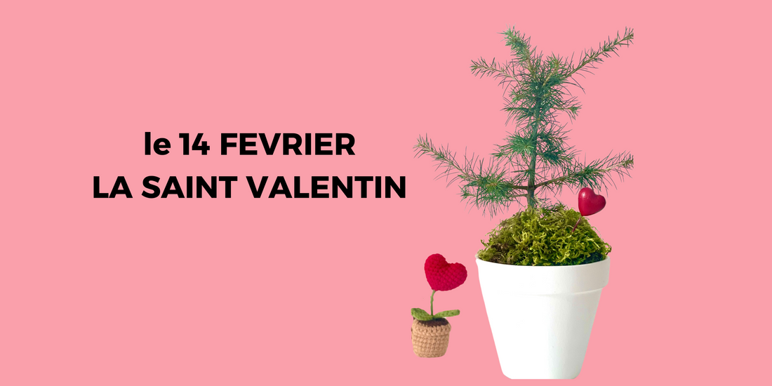 Le 14 février, un amour qui pousse.